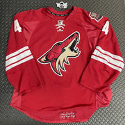 Zbynek Michalek – 2012/2013 Game Worn Jersey